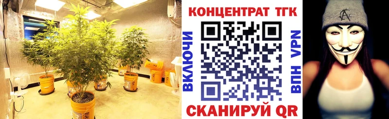 blacksprut Чердынь Дистиллят ТГК гашишное масло