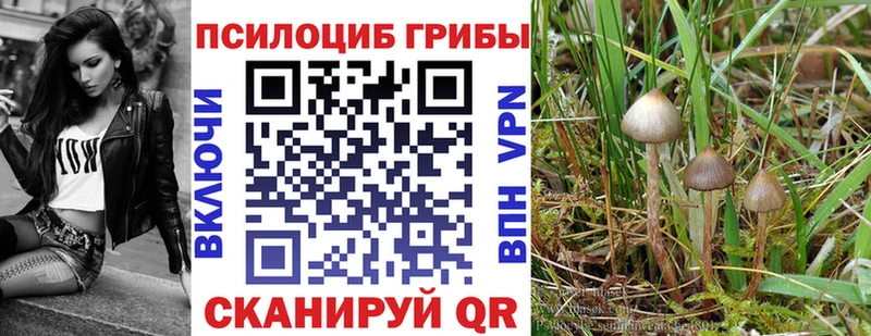 Галлюциногенные грибы GOLDEN TEACHER  где купить наркотик  Чердынь 